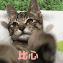 微信圖片_20180503164341.gif